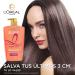  L'Oreal Paris L'Or al Paris Elvive Dream Long Hair Reconstructive Shampoo for Damaged Long Hair 1 Litre (Pack of 2) - Buy Online on GoSupps.com