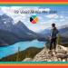 Biodegradable All-Purpose Castile Soap 8oz - Unscented Eco-Friendly Camping Soap | Organic Multi-Purpose Cleanser for Dishes Face Hair Laundry - Made in Montana USA - Buy Online on GoSupps.com
