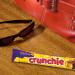 Cadbury Crunchie Chocolatey Candy Bars 44 g (Pack of 24) - Buy Online on GoSupps.com