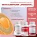Berberine 1000mg Liposomal 180 Capsules | Cinnamon & Gymnema | Max Absorption for Metabolic Digestive & Heart Support 180 count (pack of 1) - Buy Online on GoSupps.com