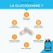 Glucosamine Chondroitin - Joint Complex with MSM & Manganese - Against Joint Pain Osteoarthritis Tendonitis - Cartilage Reconstitution - 90 Vegetable Capsules - Made in France - Buy Online on GoSupps.com