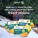 Himalaya Herbals Koflet-H Ginger Lozenges with Honey & Essential Oils - 12ct - Buy Online on GoSupps.com