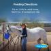 Farnam Horseshoer's Secret Pelleted Hoof Supplements | Biotin-Enhanced Formula | 3.75 lb 30-Day Supply | International Shipping Available - Buy Online on GoSupps.com