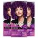 GOT2B Color/Artist 094 BlueBerry Lila level 2 (3x 80 ml) temporary hair color lets hair shine in intense colors or in pastel tones hair tint holds 12 15 washes vegan formula