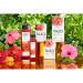 Tazo Tea Passion Tea Tea Bags 20 ct - Buy Online on GoSupps.com