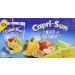 Capri-Sun Multivitamin Mini-poches 10 x 20 cl - Pack de 4