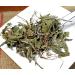 TCM Herbs USA Pu Gong Ying / Herba Taraxaci / Taraxacum / Mongolian Dandelion herb (4 oz) 4 Ounce