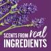 Buy Seventh Generation Fabric Softener Sheets - Fresh Lavender 80 Count | Eco-Friendly & Imported - Buy Online on GoSupps.com