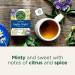Traditional Medicinals - Organic Nighty Night Herbal Tea (Pack of 1) - Natural Sleep Aid containing Passionflower and Chamomile - 16 Tea Bags Total Nighty Night 16 Count (Pack of 1) - Buy Online on GoSupps.com
