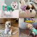 CUSOZWO Small Dog Clothes - 2 Pack Flower Dog Dress for Small Dogs and Cats - Elegant Spring Princess Skirt Outfit (M) - Buy Online on GoSupps.com