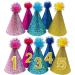 PET SHOW 5pcs Small Dog Birthday Hat Set for Boys Girls Medium Dogs Cat Kitten Puppies Party Hats with 0-9 Numbers 10 Glue dots Grooming Accessories - Buy Online on GoSupps.com