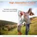 Doctor's Best High Absorption CoQ10 Powder - 200mg Tropical Fruit, 30 Stick Packs - Premium Antioxidant Support - Buy Online on GoSupps.com
