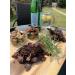 The Biltong Man Nice n Spicy Fatty (500 Grams) 500 Grams - Buy Online on GoSupps.com