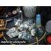 Tree Agate Rough 1LB Bulk Natural Stone for Gem Mining - Chakra Balancing & Reiki Healing - Buy Online on GoSupps.com