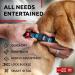 Shop Waudog Adjustable Nylon Dog Collar - Ethno Blue for Large & Medium Dogs (31-49 cm 25 mm Width) | Durable & Stylish Neck Band - Buy Online on GoSupps.com