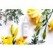 Leonor Greyl Paris - Algues Et Fleurs - Curl Enhancing Styling Spray - Curl Refresher Spray for Hair Styling (5.2 Oz) - Buy Online on GoSupps.com