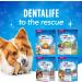 DentaLife Daily Oral Care Dog Treats for Small & Medium Breed Dogs - 507 g Pouch (1 Pack) 507 g (Pack of 1) - Buy Online on GoSupps.com