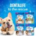 DentaLife Plus Immune Support Dog Treats - 408 g Pouch (4 Pack) - Buy Online on GoSupps.com