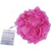 Clean Logic Silky-Soft Mesh Sponge 70g - Pack of 6, Assorted Colors | Bath and Body Essentials - Buy Online on GoSupps.com