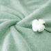 2022 Luxury Plush Towel Set - 6 Piece Bath & Kitchen Towels in Light Green Seaglass Green - Buy Online on GoSupps.com