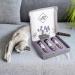 ne & no Gift Set with Natural Catnip | 3-Series Airtight Pack | Perfect Cat Toys Scratch Mats & Trees | Dried Cat Grass & Mint - Buy Online on GoSupps.com