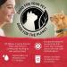 Purina Beyond Natural Wet Cat Food - Chicken & Beef in Gravy (12-Pack, 3 oz Cans) - Buy Online on GoSupps.com