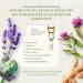 Maison Naturelle Organic Drops (100ml) | Hildegard von Bingen Bitter Herbs Concentrate - Natural Wellness Solution - Buy Online on GoSupps.com