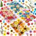 Real Dried Pressed Flowers for Resin  Natural Dry Flowers Leaves Bulk Herbs Kit for DIY Scrapbooking Stamping Supplies Epoxy Resin Jewelry Molds Candle Soap Making Nails D cor Art Crafts 150 Pcs