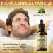 Herbalicious Ashwagandha Supplement - Natural Stress Relief, Mood Booster, Sleep Aid - 2 Fl oz - Buy Online on GoSupps.com