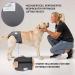 Buy High-Quality Financial Trousers for Dogs 2.0 - Premium Neoprene Diapers for Males - Optimal Airflow No Rod Threading - Large Blue - Buy Online on GoSupps.com