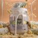 Steel Supplements Veg-PRO Vegan Protein Powder Vanilla Cream Pie 1.65lb | Organic BCAA Amino Acids | Gluten-Free Non-Dairy | Low Carb Formula | 25 Servings - Buy Online on GoSupps.com