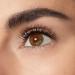L'Or al Paris Voluminous Mascara - 4x Volume Strong Black Formula 8ml - Enhance Your Eyelashes! - Buy Online on GoSupps.com