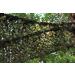 Ginsco Woodland Camouflage Netting 6.5x10ft - Ideal for Hunting, Camping & Outdoor Activities - Buy Online on GoSupps.com