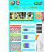 Pawflex Non-Adhesive Disposable Washable Reusable Pet Bandages - Small White (2 Standard, 2 Wide) - Buy Online on GoSupps.com