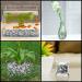 Buy Belle Vous White & Gray Decorative Stones (3.6 kg) - Perfect for Vases Aquariums Landscaping & Garden Decor - Buy Online on GoSupps.com