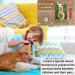 Sort it Rite Dog Memorial Picture Frame - Ideal Pet Memorial Gift for Dogs & Cats | Holds 4x6 Photo - Heartfelt Quote | Loss of Dog Gift (Natural) Beige - Buy Online on GoSupps.com