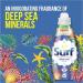 Surf Deep Sea Minerals & Essential Oils Concentrated Liquid Laundry Detergent - 24 Washes - 24 Count (Pack of 1) - Buy Online on GoSupps.com