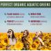 Perfect Supplements Perfect Aquatic Greens 120 Vegetable Capsules Organic Spirulina and Chlorella Supplement Nutritious Superfood - Buy Online on GoSupps.com