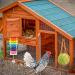 Woiworco Chicken Coop Accessories: 7 Pack Chicken Toys - Xylophone, Swing, Mirror, Pecking, Vegetable Feeder & More - Buy Online on GoSupps.com