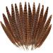 iHUFeather 20pcs Natural Pheasant Feathers  Female Tails Feathers 6-8inch for DIY Crafts Wedding Party Centerpieces Christmas Home Decoration 6-8Inch-20pcs Female