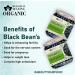 Blessfull Healing Organice Black Beans 2 lb (907 Gram) - Buy Online on GoSupps.com