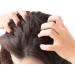Ethereal Nature 99% Natural Hair Oil Blend with Tea Tree - 7.1 oz | Nourish & Protect Your Hair - Buy Online on GoSupps.com