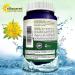 Rhodiola Rosea 1000mg Supplement - 180 Vegan Capsules for Energy, Brain Function & Stress Relief - Max Strength Rhodiola Root Extract Pills - Golden Root Herb Powder for Men & Women - Buy Online on GoSupps.com
