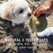 Hevea Galaxy Dog Throw & Fetch Disc - Natural Rubber Frisbee Toy for Dogs | Portable & Floats on Water - Buy Online on GoSupps.com