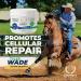 Equinety XL Horse Supplement - Joint & Hoof Support Powder - 21.2 OZ - Buy Online on GoSupps.com