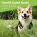 Canine Matrix Skin & Coat Mushroom Powder 7.1 oz | Natural Pet Supplement for Healthy Fur - Buy Online on GoSupps.com