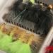 Premium Hand-Tied Fly Fishing Flies Kit in Waterproof Box - 32pcs Starter Set for Bass Trout Salmon - Dry Flies, Nymphs, Scud Streamers, Lures with Hooks - Buy Online on GoSupps.com