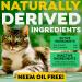 TropiClean Fresh Breath Cat 16 oz Spray - Improve Your Cat's Oral Health - Buy Online on GoSupps.com
