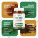 Organic Sea Moss Capsules with Bladderwrack & Burdock for Thyroid Support - Enhanced with Bioperine for Max Absorption | Detox & Cleanse Supplement - Buy Online on GoSupps.com