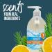 Seventh Generation Purely Clean Hand Wash Soap 12 oz (Pack of 8) - Fresh Lemon & Tea Tree - Buy Online on GoSupps.com